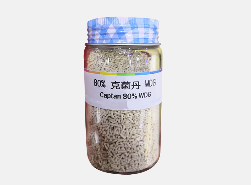 Fungicide captan 50 wp 80wdg powder for downy mildew