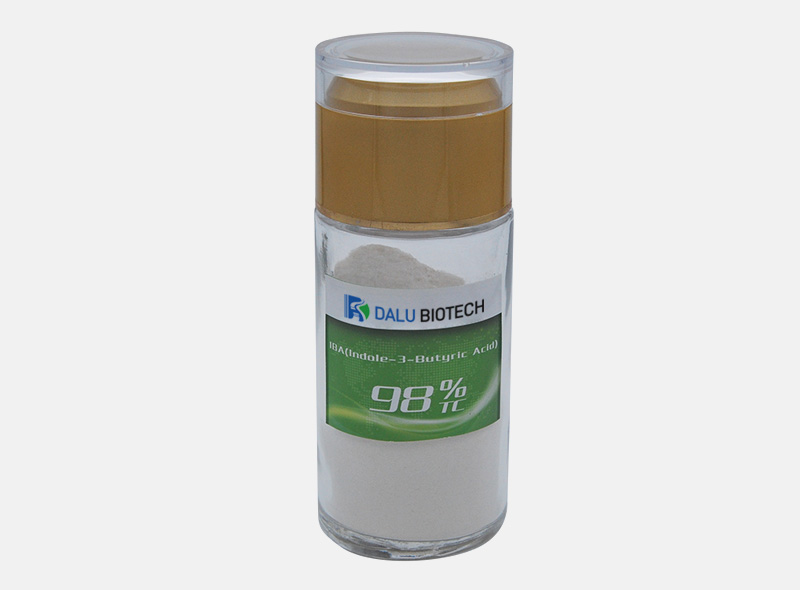 Indole-3-butyric acid (iba) powder dosage for sale