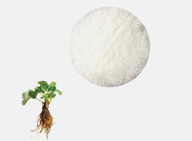 1-naphthylacetamide and 1-naphthylacetic acid